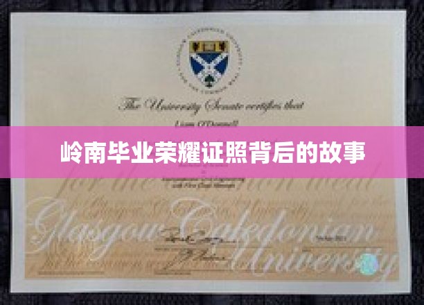 岭南学子荣耀时刻，证照背后的青春足迹
