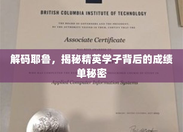 解码耶鲁，揭秘精英学子背后的成绩单秘密