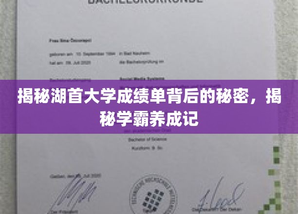 揭开湖首学霸养成之路，成绩单背后的非凡奥秘