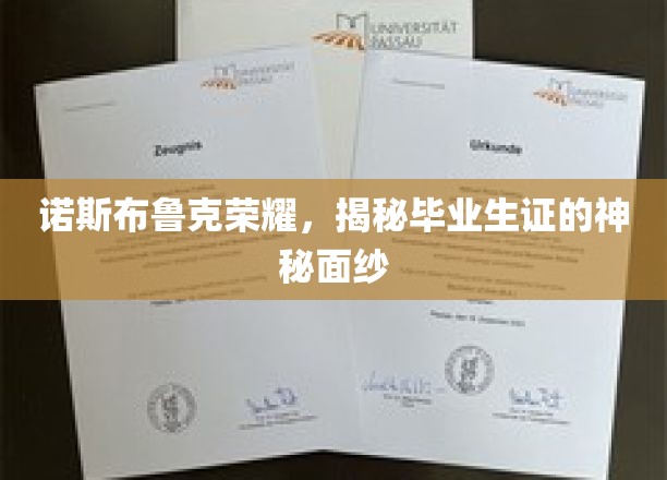 揭开诺斯布鲁克毕业生证的荣耀之谜