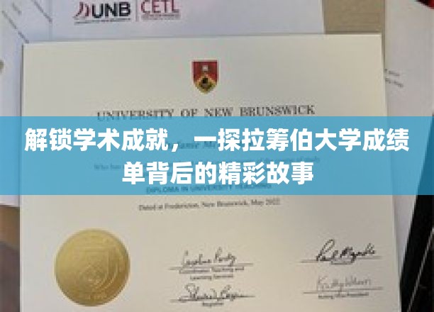 探索拉筹伯大学成绩单，解锁学术成就背后的精彩故事