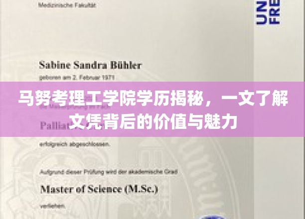 马努考理工学院学历大揭秘，揭秘文凭背后的非凡价值与独特魅力