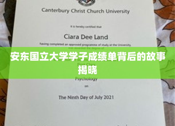 安东国立大学学子成绩单背后的故事揭晓