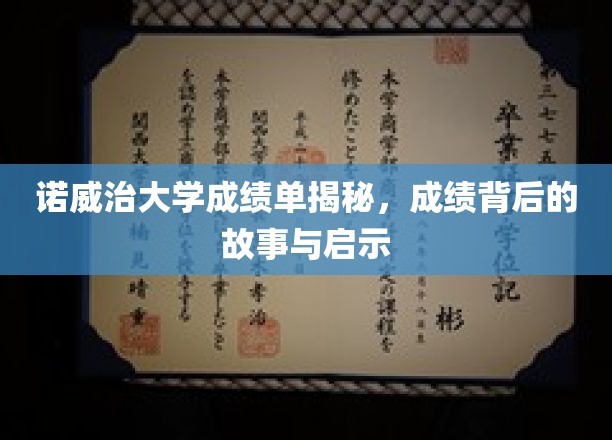 揭秘诺威治大学成绩单，背后故事与成长启示录