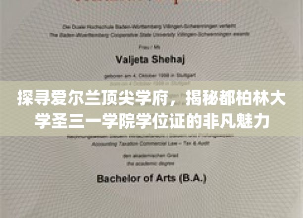 解锁都柏林圣三一学院的荣耀学位，一睹爱尔兰顶尖学府的证书风采