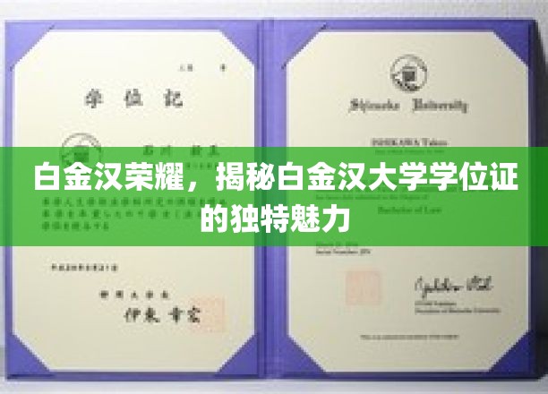 白金汉学位证的光辉，探寻白金汉大学的独特荣耀之谜