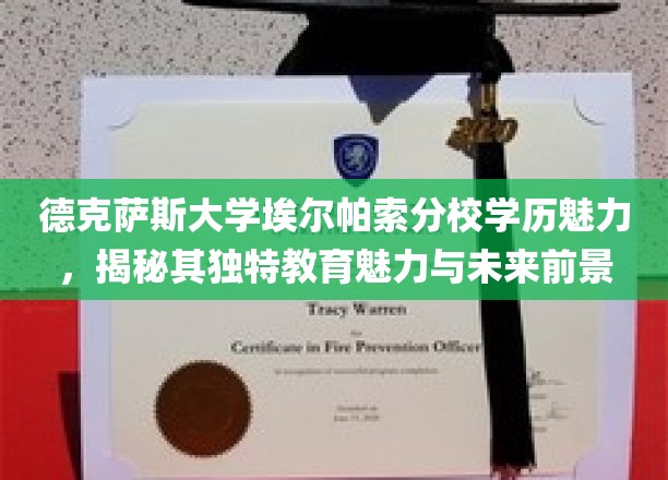 德克萨斯大学埃尔帕索分校学历魅力，揭秘其独特教育魅力与未来前景