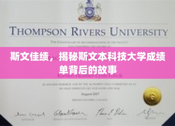 斯文佳绩，揭秘斯文本科技大学成绩单背后的故事