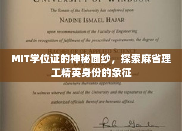 MIT学位证的神秘面纱，探寻麻省理工精英身份的象征