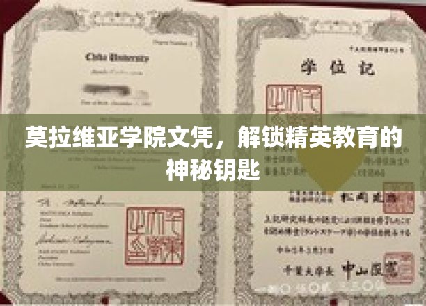 莫拉维亚学院文凭，开启精英之路的神秘凭证