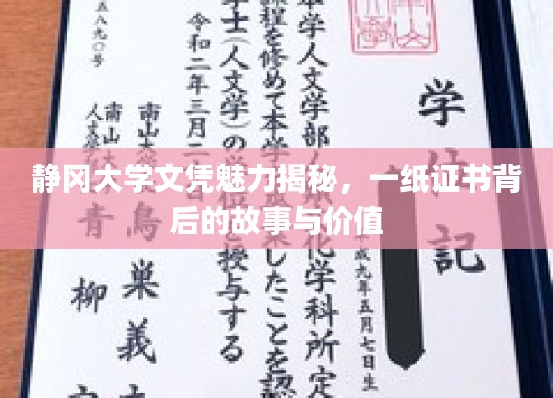 静冈大学文凭背后的传奇，揭秘证书背后的非凡价值与故事