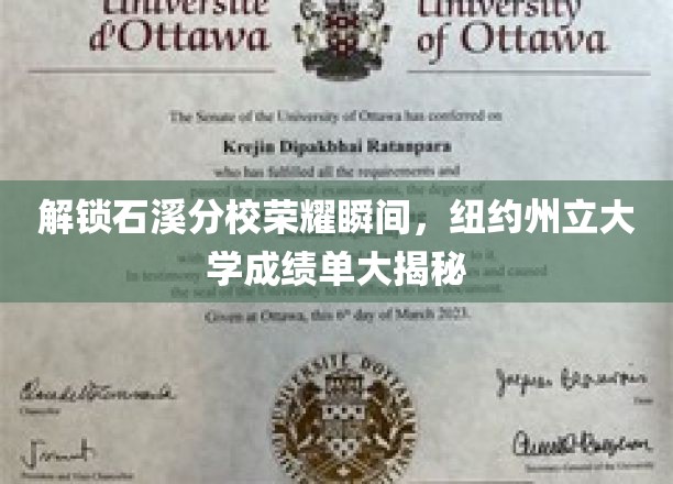 石溪分校荣耀瞬间，纽约州立大学成绩单深度揭秘