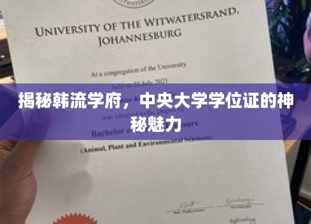 一窥韩流学府：中央大学学位证的神秘魅力