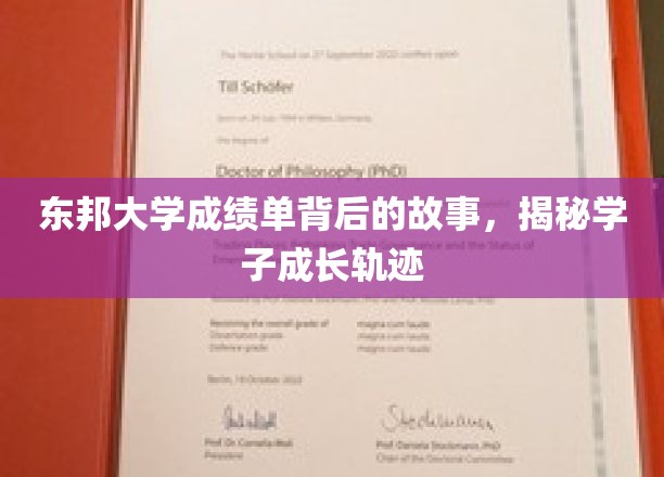 东邦大学成绩单背后的故事，揭秘学子成长轨迹