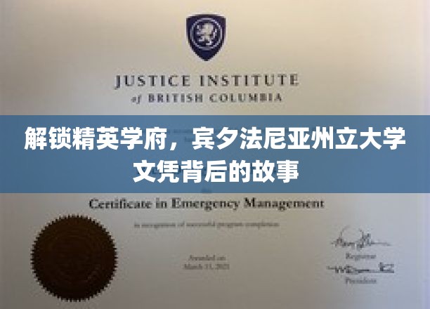 解锁精英学府，宾夕法尼亚州立大学文凭背后的故事