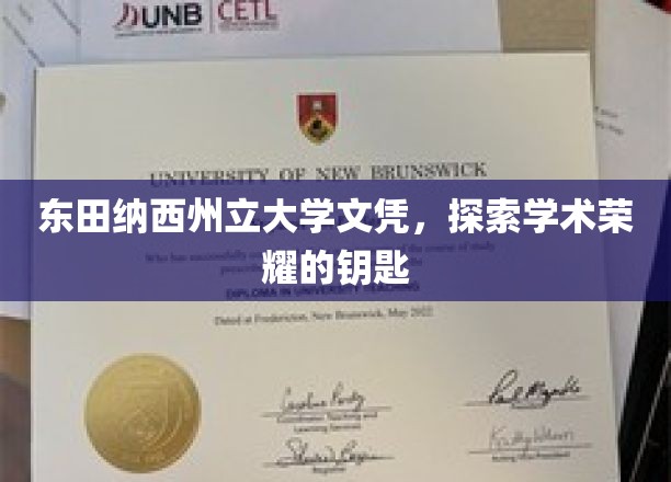 解锁东田纳西荣耀，一纸文凭背后的学术奥秘