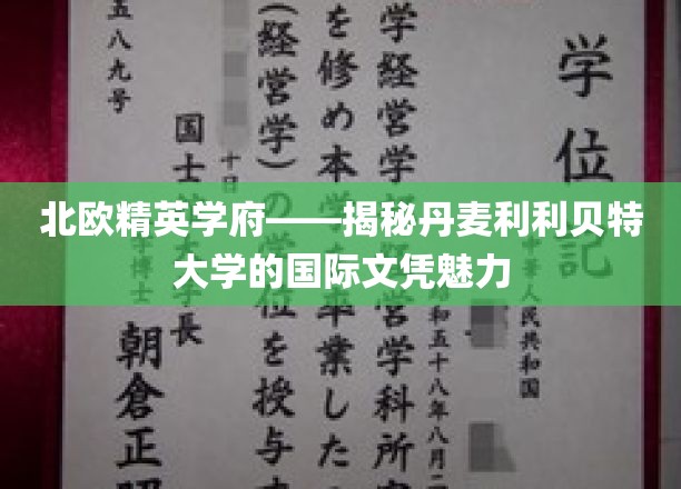 丹麦利利贝特大学，北欧精英教育之光，国际文凭的非凡吸引力