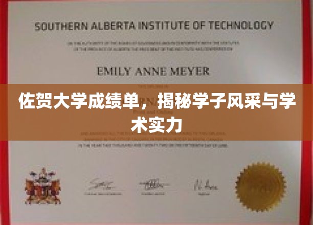 佐贺学子风采展，揭秘佐贺大学学术实力与卓越成就