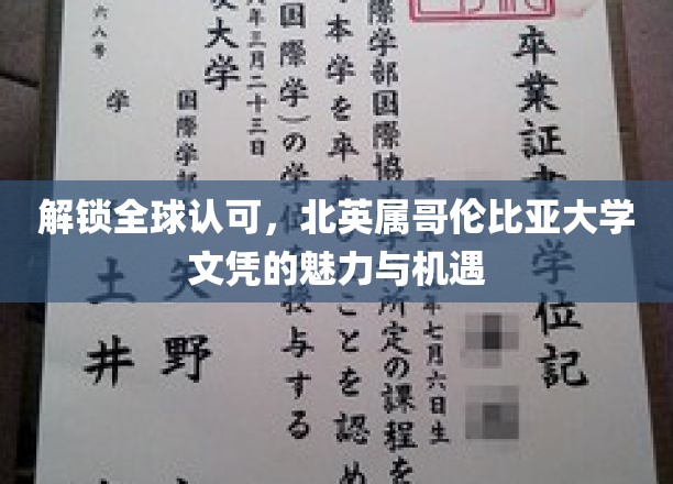 跨越国际舞台，北英属哥伦比亚大学学位的璀璨价值与无限前景