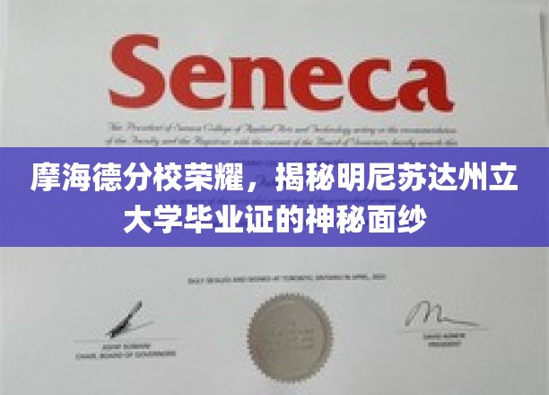 摩海德分校闪耀，一探明尼苏达州立大学文凭的非凡奥秘