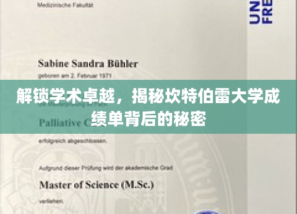 探秘坎特伯雷大学，揭秘卓越成绩单背后的奥秘