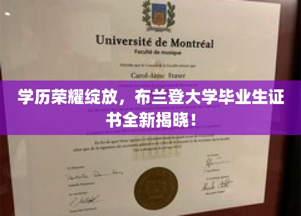 布兰登大学荣耀瞬间，毕业生证书华丽登场