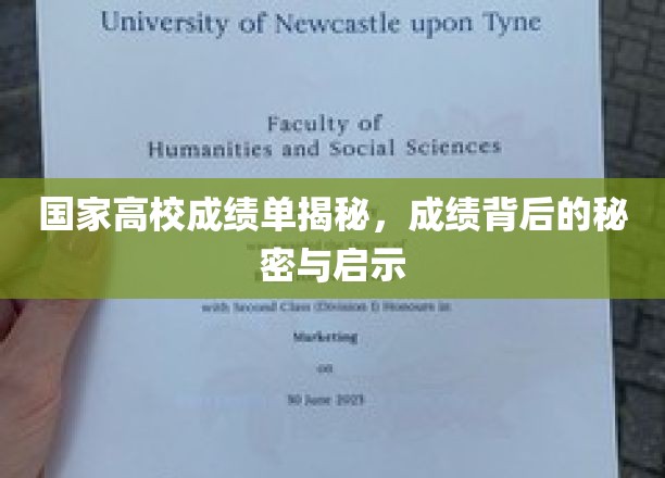 国家高校成绩单揭秘，成绩背后的秘密与启示