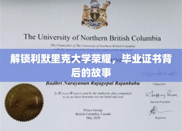 探寻利默里克大学荣耀，毕业证书背后的故事