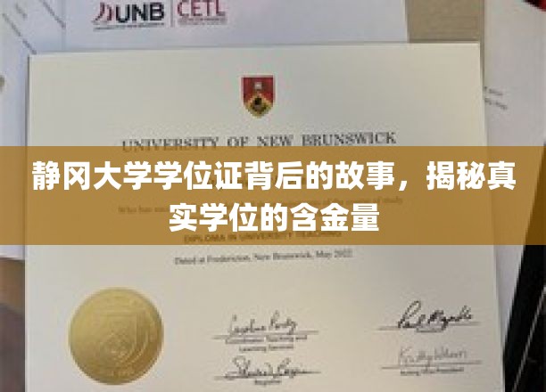 静冈大学学位证背后的传奇，探寻真实学位的珍贵价值