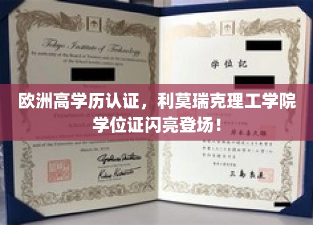 利莫瑞克理工学院高学历认证，开启欧洲留学新篇章！