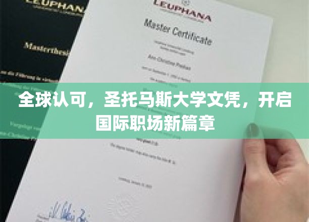 全球认可，圣托马斯大学文凭，开启国际职场新篇章