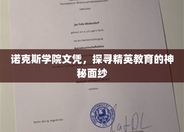 揭秘诺克斯学院，精英教育背后的秘密世界
