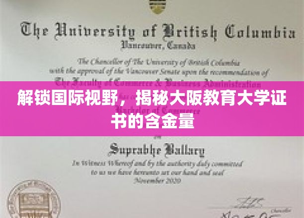 跨国教育之旅，揭秘大阪教育大学证书的全球认可度