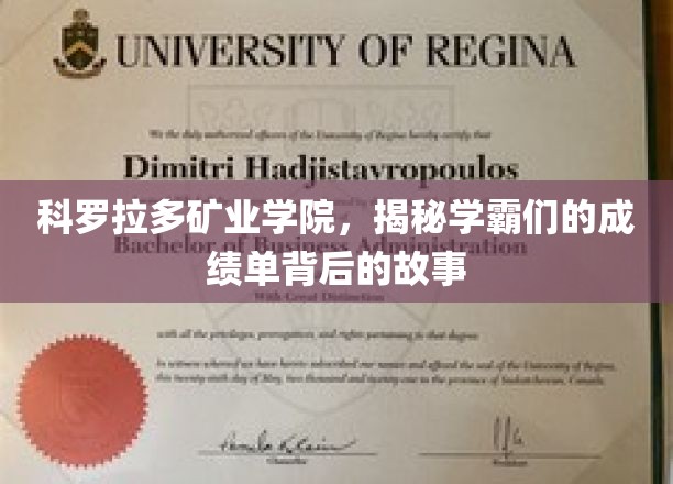 科罗拉多矿业学院，揭秘学霸们的成绩单背后的故事