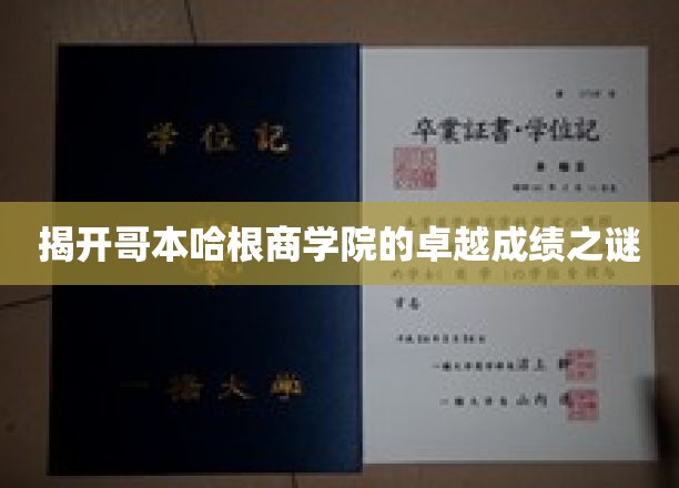 揭开哥本哈根商学院的卓越成绩之谜
