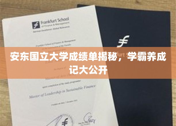 安东国立学霸养成记，揭秘成绩单背后的秘密