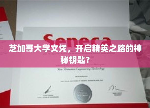 芝加哥大学文凭，解锁精英生涯的神秘通行证