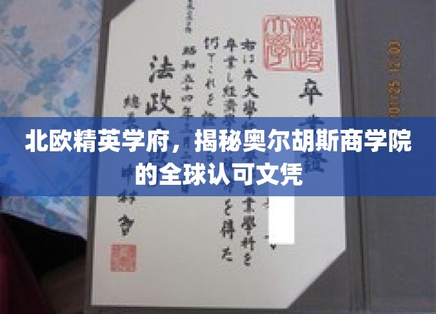 探索北欧教育之光，奥尔胡斯商学院的全球通行证