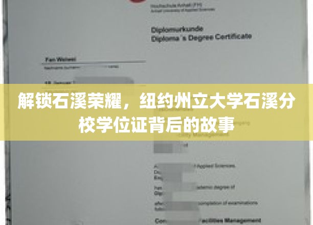 探寻石溪荣耀，揭开纽约州立大学石溪分校学位证的传奇历程