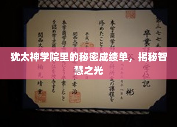 犹太神学院里的秘密成绩单，揭秘智慧之光