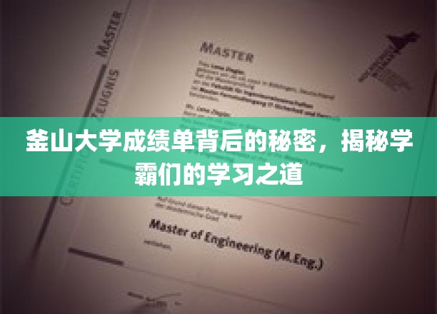 揭秘釜山大学成绩单背后的秘密，一窥学霸们的学习之道