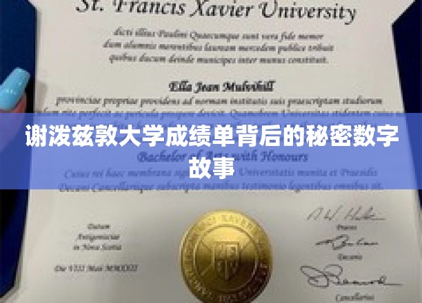 探寻谢泼兹敦大学成绩单中的神秘数字密码