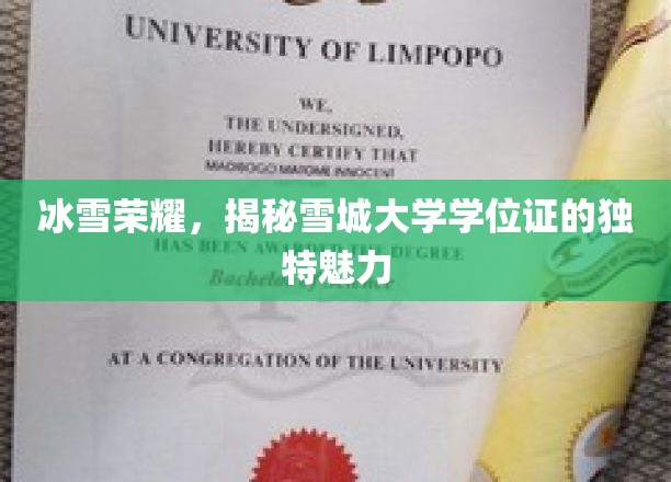 雪城大学学位证，探寻冰雪之城的荣耀凭证之谜