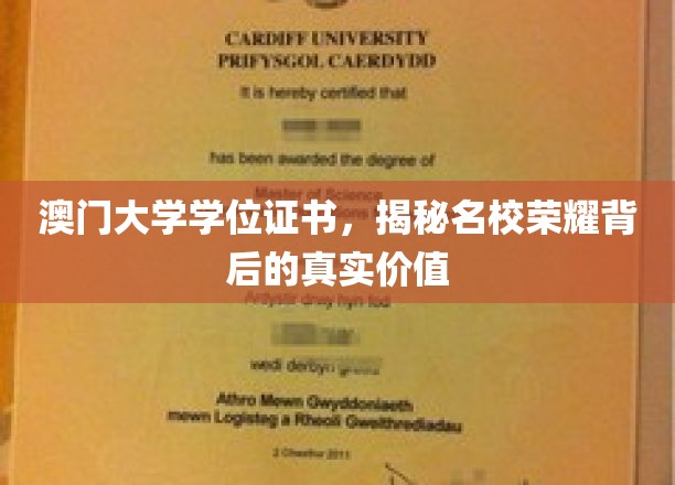 澳门大学学位之光，探寻荣耀背后的深层价值