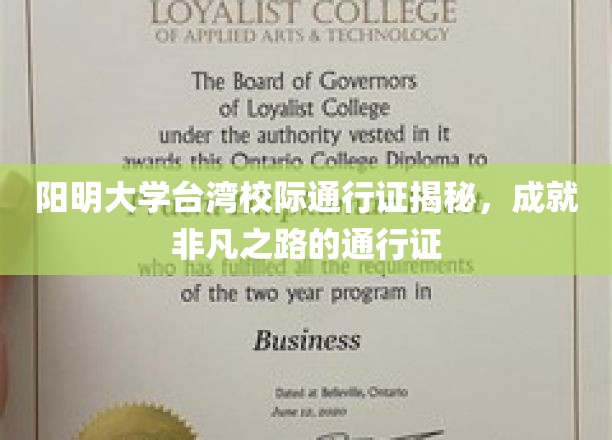 阳明通行，梦想启航，台湾校际证背后的非凡历程