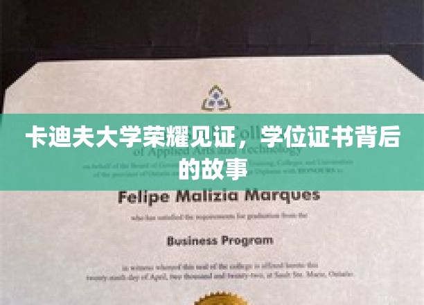 卡迪夫荣耀，探索学位证书背后的荣耀历程