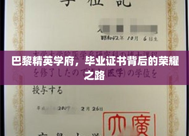 巴黎精英学府，毕业证书背后的荣耀之路