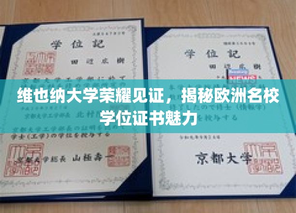 维也纳大学荣耀见证，揭秘欧洲名校学位证书魅力