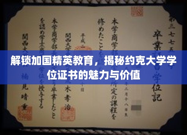 约克大学学位证书，探寻加拿大精英教育的奥秘与价值