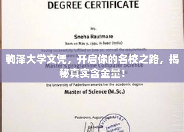 解锁驹泽大学学位，探寻名校光环下的真实价值